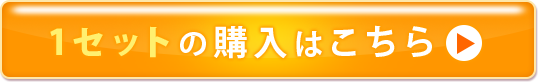 1セット購入はこちら